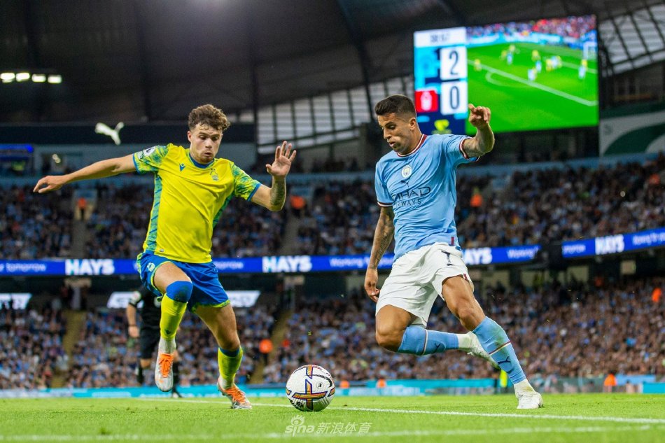 如果你需要 如果你需要